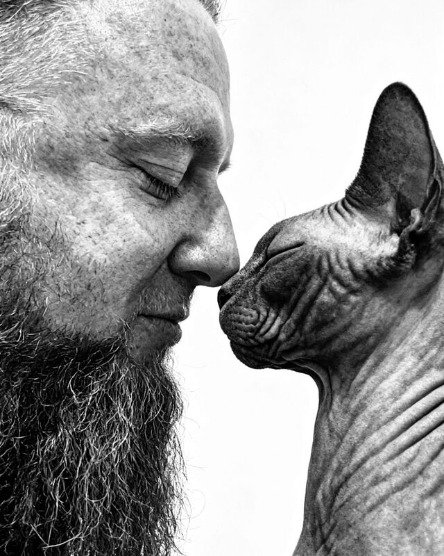 Stefan Reis, Nase an Nase mit einer Sphynx-Katze